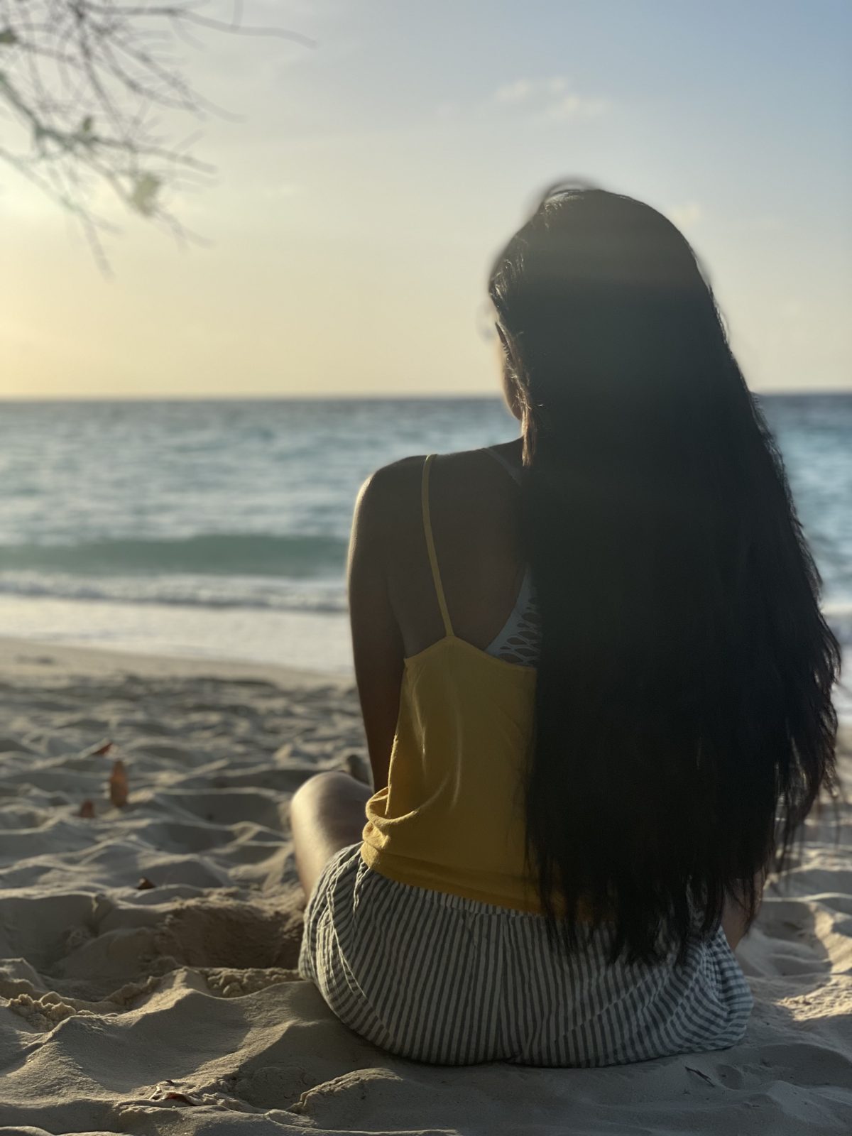 Sloka sitting on a beach looking out at the sea